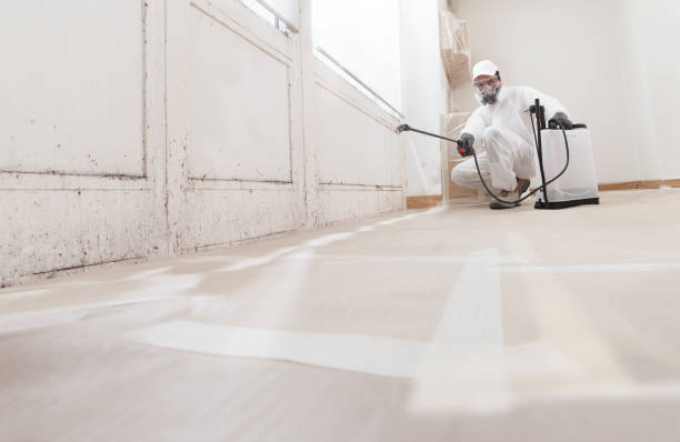 24/7 Emergency Mold Cleanup experts in Richardson, TX