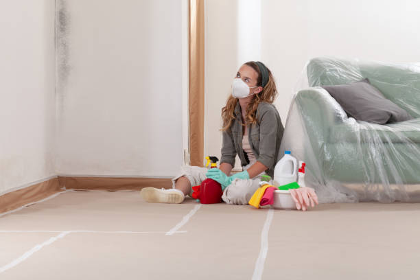 Reliable Mold Cleanup contractor in Richardson, TX by WQB Mold Removal